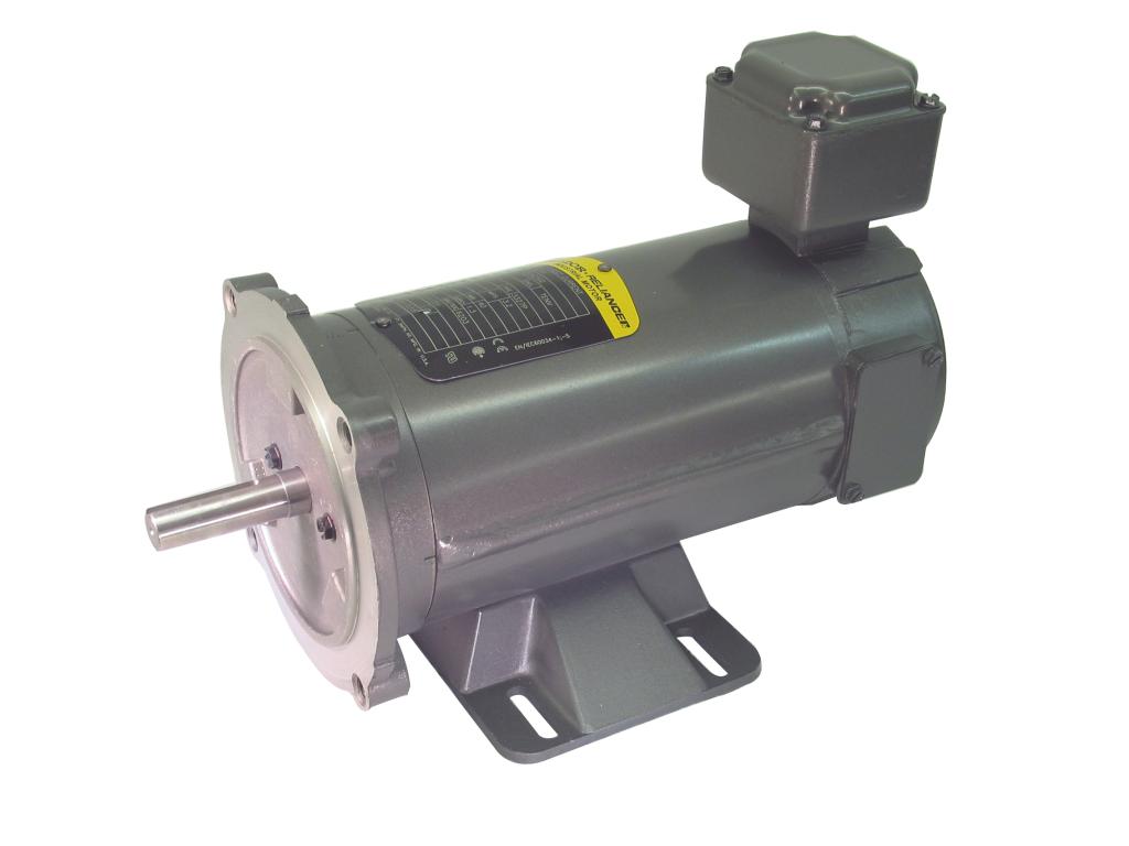 1/3 HP DC Motor